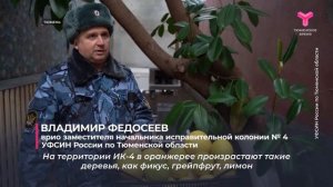 Урожай грейпфрутов 23.01.2025