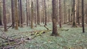 Стоит ли заниматься боксом для самозащиты на улице