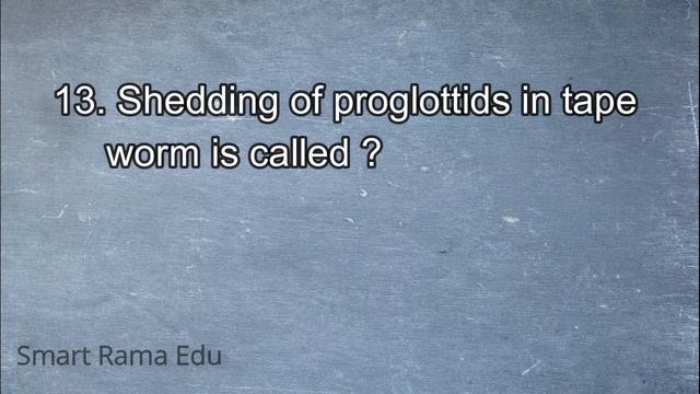 PLATYHELEMINTHES | SMART RAMA EDU | смотреть онлайн