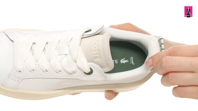 3905446 Видеообзор I Женские кеды LACOSTE CARNABY PLAT 123 1 SFA смотреть онлайн