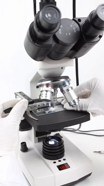 Orange in the microcosm,microscope. смотреть онлайн