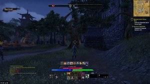 ТЕСО.Обзор торговцев Сиродила и Хладной Гавани 25.01.2025.