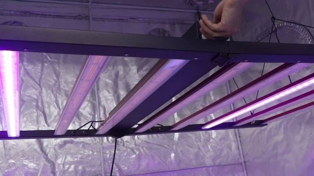 Double Dimmer Control 10 Bars Foldable LED Grow Light with UV IR смотреть онлайн