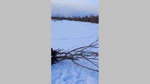 Тоз 78-15. До мишени 50 м.