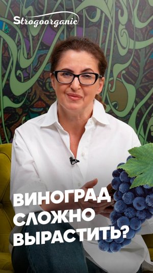 Виноград это сложная культура? / Мария Винокур Strogoorganic