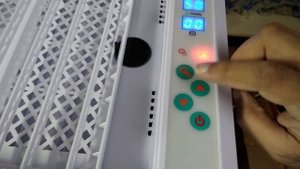 Unboxing HHD 36 eggs automatic incubator