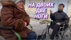 В ПОНЕДЕЛЬНИК СНОВА ПОД ДЕРЕВО . И В ЧЁМ ПОМОЩЬ ?