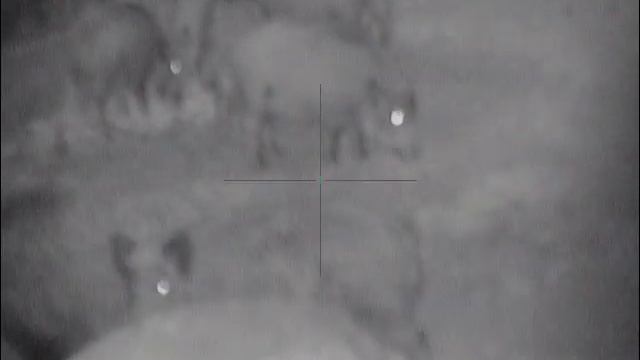 Охота на кабана с вышки 28. 11.2018г. смотреть онлайн