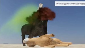 Кароль и лев(мем!!!!)