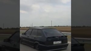 Черный дельфин