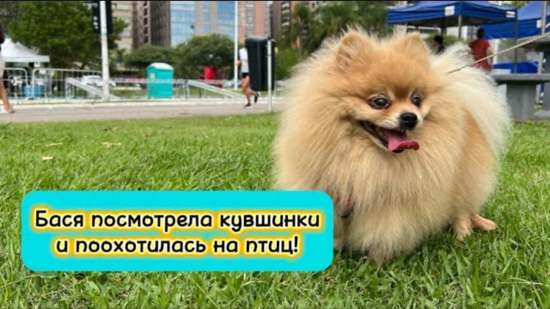 Бася посмотрела кувшинки и поохотилась на птиц!