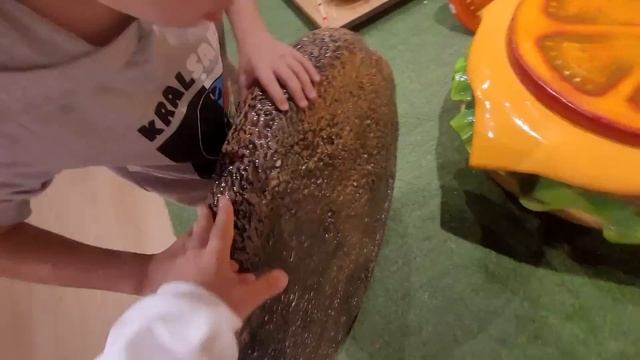 EFE DEV HAMBURGER YEMEK İSTEDİ.!! смотреть онлайн