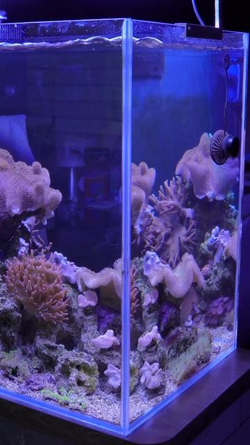 Aqvarius фосфат смотреть онлайн