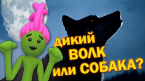 ❗ХОЧУ УЗНАТЬ❗🌏📗👨🔬🔬
Дикие и домашние животные🐾🐱🐶