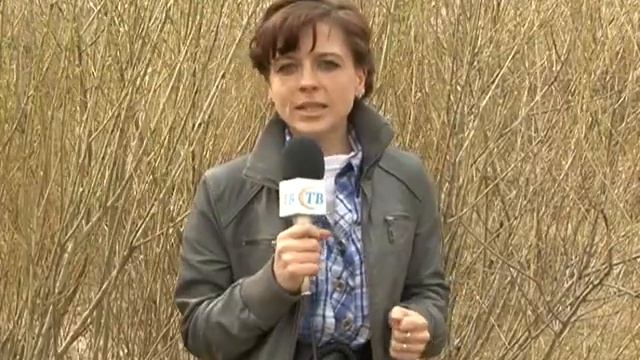 Погода на 23 апреля смотреть онлайн