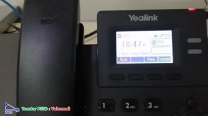 Yeastar P550 : Voicemail