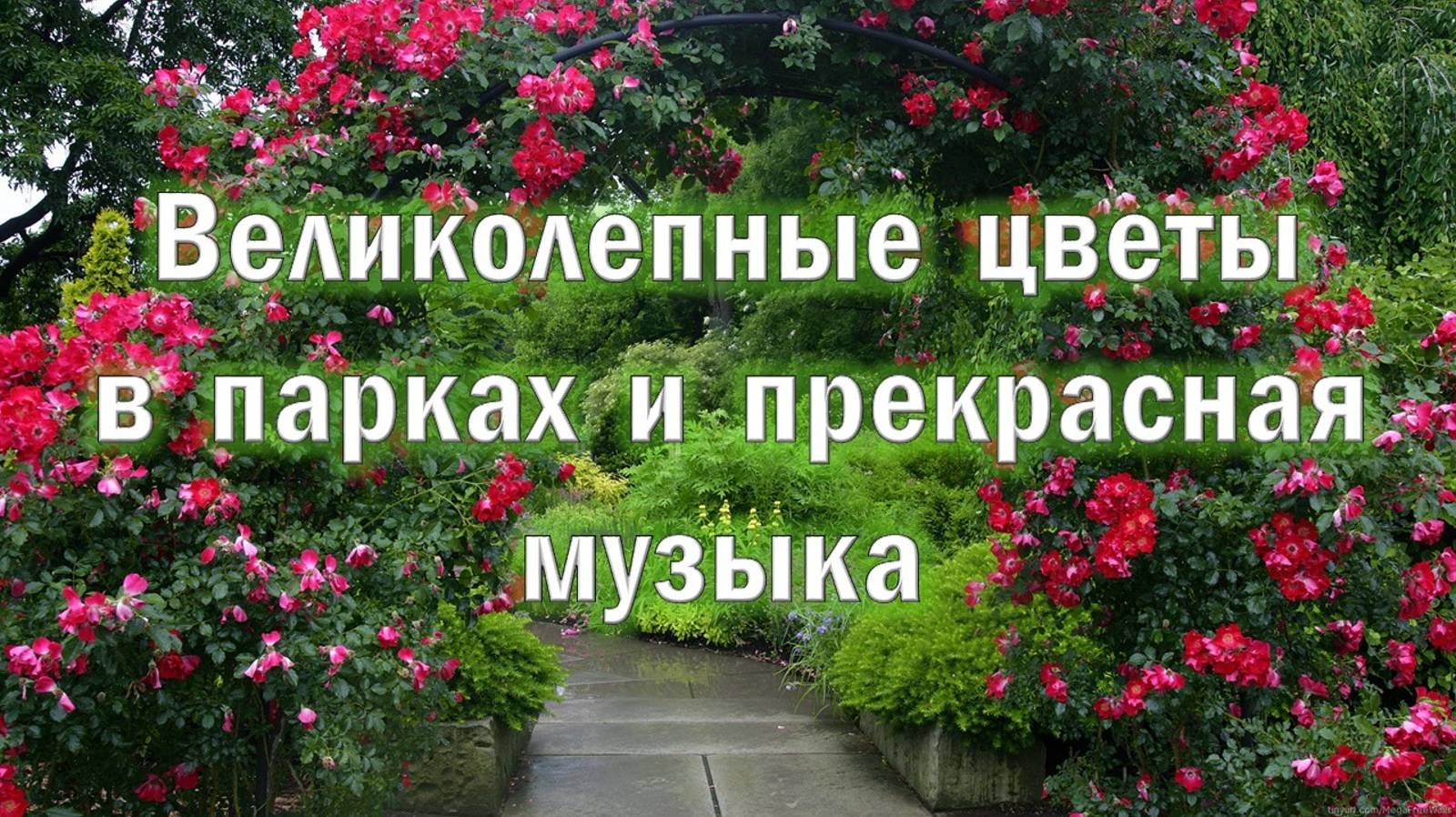 🌷 6. Парад цветов. Парад цветов. Изучаем названия цветов, наполняя себя позитивом под музыку.