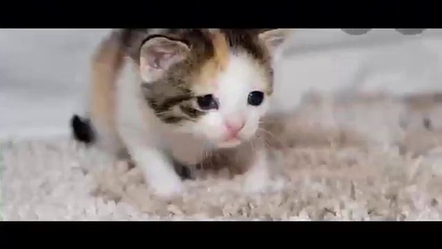 12 декабря 2019 г. смотреть онлайн