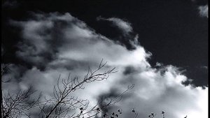 И.Бунин. "Грамматика любви". Фрагмент 2 из 3  #олюбви #проза#начало20века