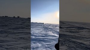 Охота на зайца и куропаток. Аллаиховский район. Республика Саха (Якутия)
