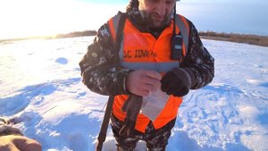 ОХОТА на СИБИРСКУЮ КОСУЛЮ ДОБЫЛИ КОСУЛЮ ВЫХОД на НОМЕР