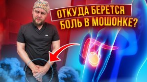 Откуда берется боль в мошонке?
