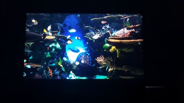 TV Samsung Qled Q70t. Opinião de dono. смотреть онлайн