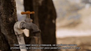 Какой напиток лучше всего утоляет жажду