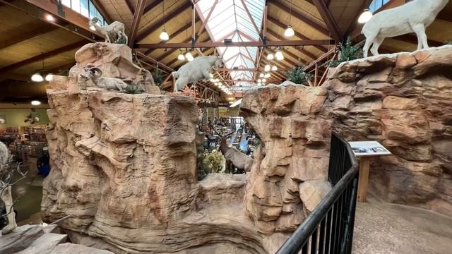 STORE TOUR: Cabela's in Glendale, AZ | Total Retail And More