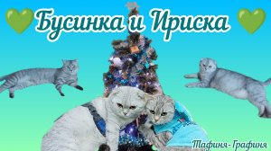 😻Новогодние подарки для Ириски и Бусинки 😻
