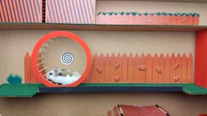 🐹Хомяк против зомби | Побег Хомяка и полосы препятствий