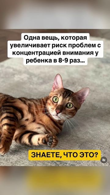 Одна вещь, которая...😊 смотреть онлайн
