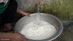 Harvesting Sesame Seeds, Process them into Sesame Cakes and sell them at the market