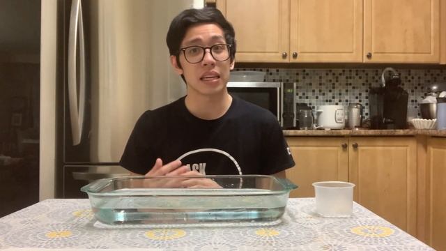 Science at Home | Ecosystems and Oil Spills - Grade 11 смотреть онлайн