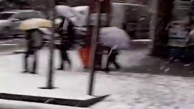 снег в барселоне,2010г. смотреть онлайн