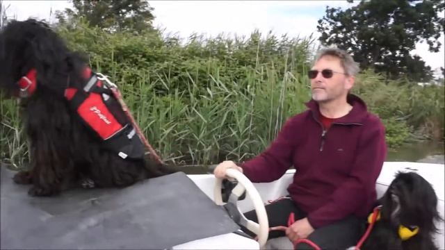 Quark boating and singing to the radio on the Frome смотреть онлайн