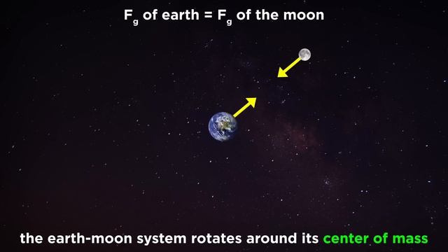 Newton's Law of Universal Gravitation смотреть онлайн