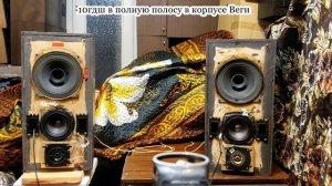 10 гдш в большом корпусе против s50b , звук