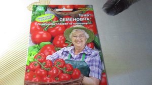 Томат Семеновна от Уральского Дачника.