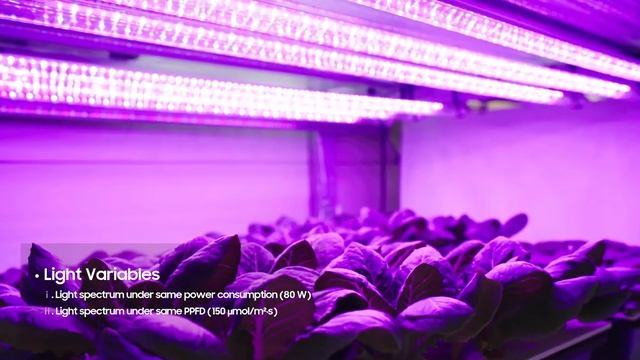 Samsung New EVO Diode and University Study смотреть онлайн