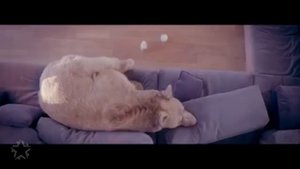 МакSим - Мои секреты