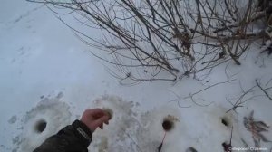 Глухозимье приближается.Рыбалка в далекой Сибири.