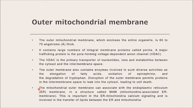 Mitochondria-Power house of the cell ICell BiologyI NEET BiologyI English & Bengali Lecture GuideI смотреть онлайн
