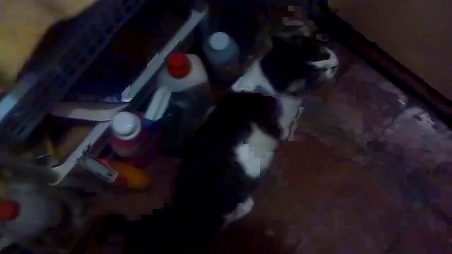 Тайная жизнь Милли. смотреть онлайн