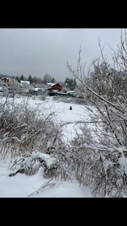 Если выпал снег - просто наслаждайтесь зимой