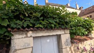 ФРАНЦИЯ - БУРГУНДИЯ И ШАМПАНЬ. ДИЖОН, БОН, ШАБЛИ, ТРУА И САМЫЕ КРАСИВЫЕ ДЕРЕВУШКИ