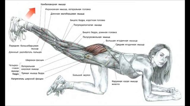 день 7 марафона - ягодицы #бесплатныймарафон_15днейдо8марта HD 1080p смотреть онлайн