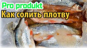 Как солить плотву что бы потом можно было сушить