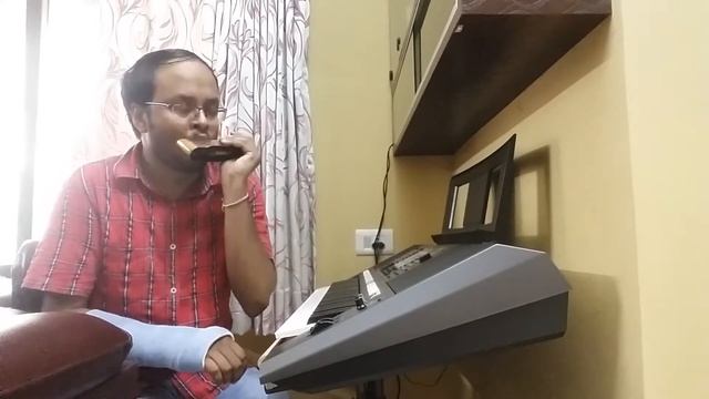 Senorita (Zindagi na milegi dobara) harmonica instrumental смотреть онлайн