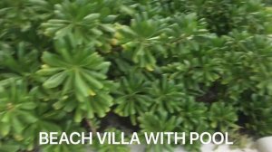 Waldorf Astoria Maldives: осмотр отеля